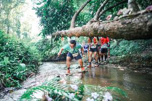 BIB: 
                            <button type="button" onclick="openModal(25452404)" class="btn btn-primary btn-sm float-right btn-popup" data-toggle="modal" data-target=".modal-high-quality">
                        <i class="fas fa-shopping-cart"></i> Add to Cart
                    </button>
                                            <button type="button" onclick="isThisMe(25452404, true)" class="btn btn-success btn-sm float-right btn-popup btn-isme hidden" data-toggle="tooltip" data-placement="bottom" title="นี่คือรูปของคุณใช่ไหม คลิกที่นี่เพื่อเอาเข้าอัลบั้ม">
                        <i class="fas fa-plus"></i> Add to album
                    </button>
                    <button type="button" onclick="isThisMe(25452404, false)" class="btn btn-warning btn-sm float-right btn-popup btn-isnotme hidden">
                        <i class="fas fa-ban"></i> Remove from album
                    </button>